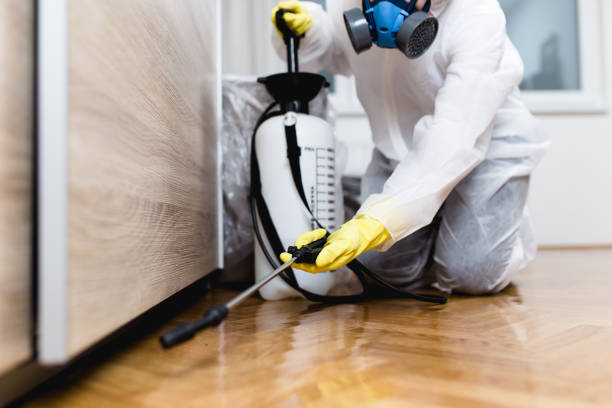 Best Pest Control for Multi-Family Homes  in Belvidere, NJ